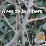 カントリーハウス El Retiro De Isabel Embid de la Ribera