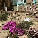 Gospodarstwo wiejskie El Retiro De Isabel Embid de la Ribera