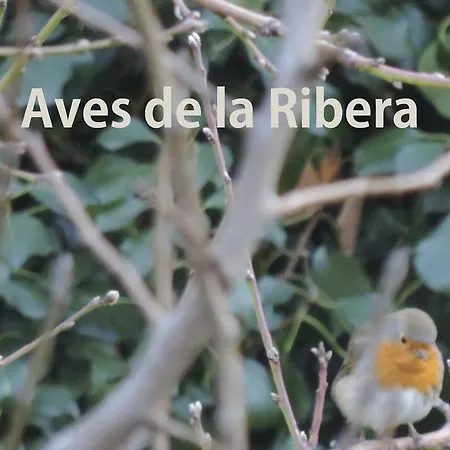 Hétvégi ház El Retiro De Isabel Embid de la Ribera