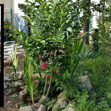 El Retiro De Isabel Embid de la Ribera