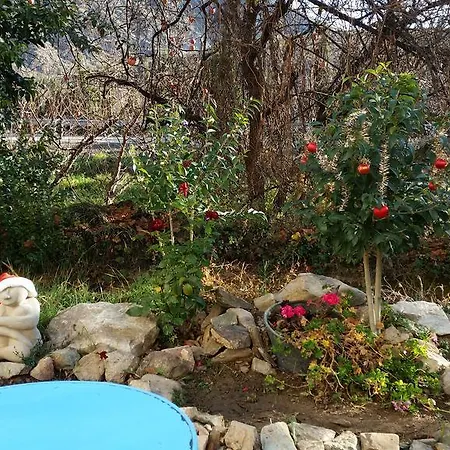 El Retiro De Isabel Landhuis